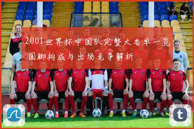 2001世界杯中国队完整大名单一览 国脚构成与出场竞争解析