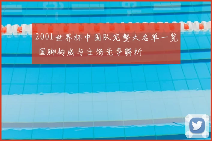 2001世界杯中国队完整大名单一览 国脚构成与出场竞争解析