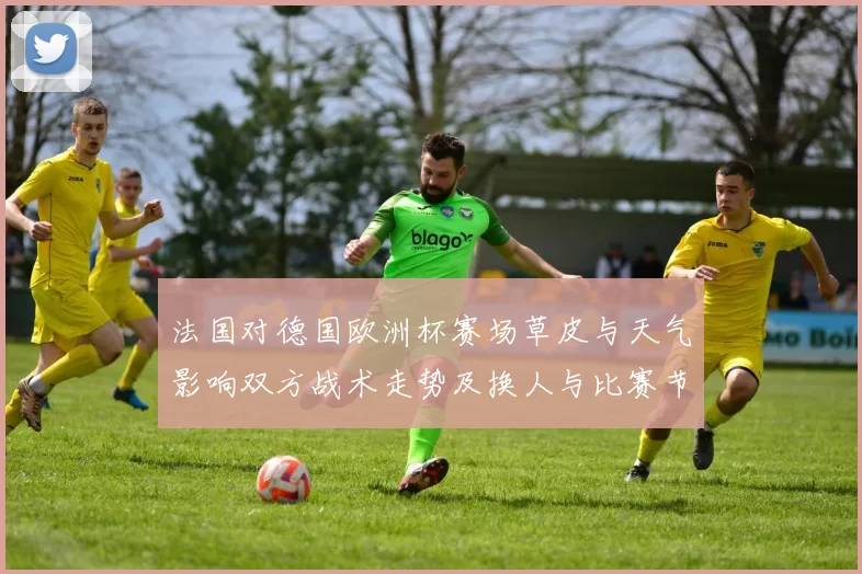 法国对德国欧洲杯赛场草皮与天气影响双方战术走势及换人与比赛节奏看点