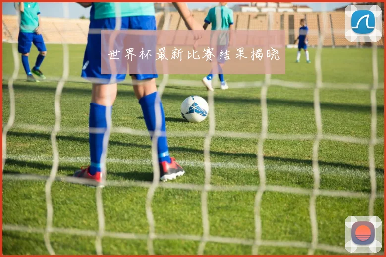 世界杯最新比赛结果揭晓